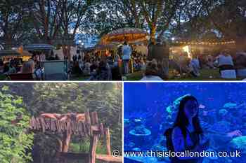London Zoo nights offers a wild and animal night out: Review