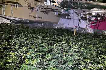 Huge £5 MILLION cannabis farm uncovered in unused building