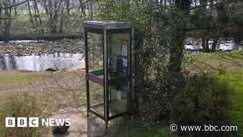 Campaign to save village's historic phone box