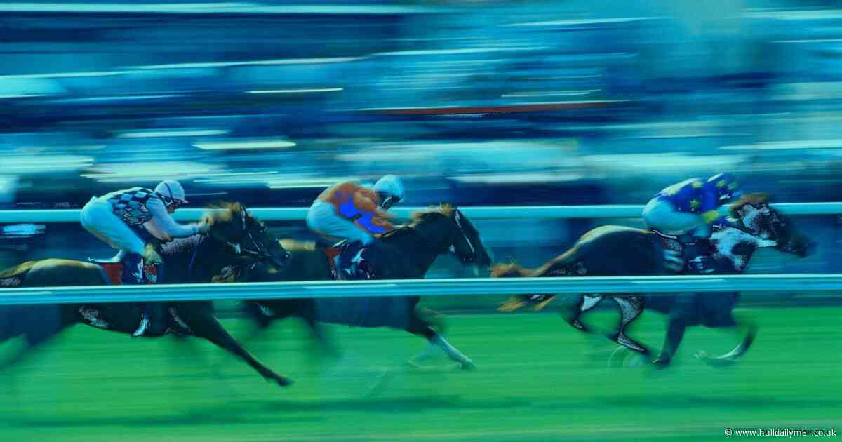 Horse name generator tool will give you the perfect name for your racehorse