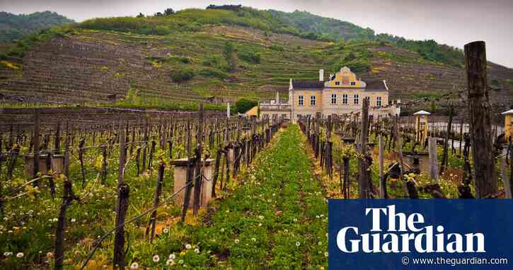 Why you should try Austrian wine