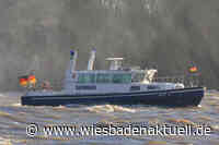 Sportboot im Kasteler Stromarm gesunken