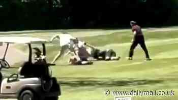 Father's Day brawl on Ohio golf course as two groups come to blows after dispute over shot