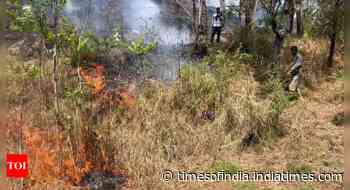 Himachal faces worst fire season in years