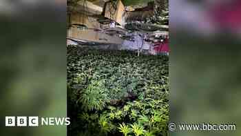 Electricity tip-off leads to £5m cannabis farm