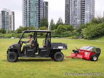 Geese love the grassy Vancouver waterfront in June. Here a solution to all the poop