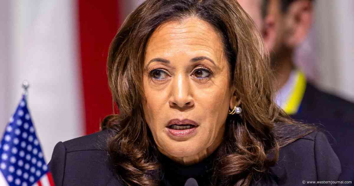 Kamala Harris' Nightmare Opponent Could Be Her 'Greatest Threat' at VP Debate: Former Aide