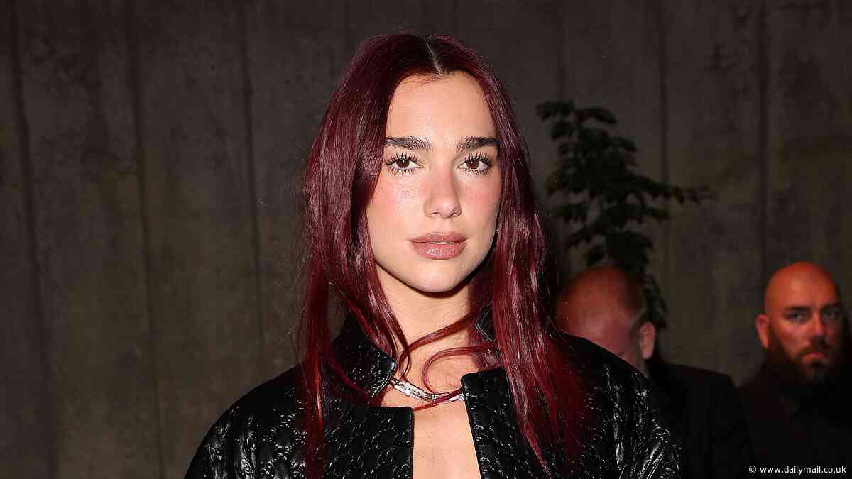 Dua Lipa says she's willing to 'take the hit' of backlash for speaking out on Palestine as she discusses the importance of using her platform to raise awareness on political issues