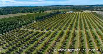 Quality Burnett farms with 112 hectares irrigated citrus | Video