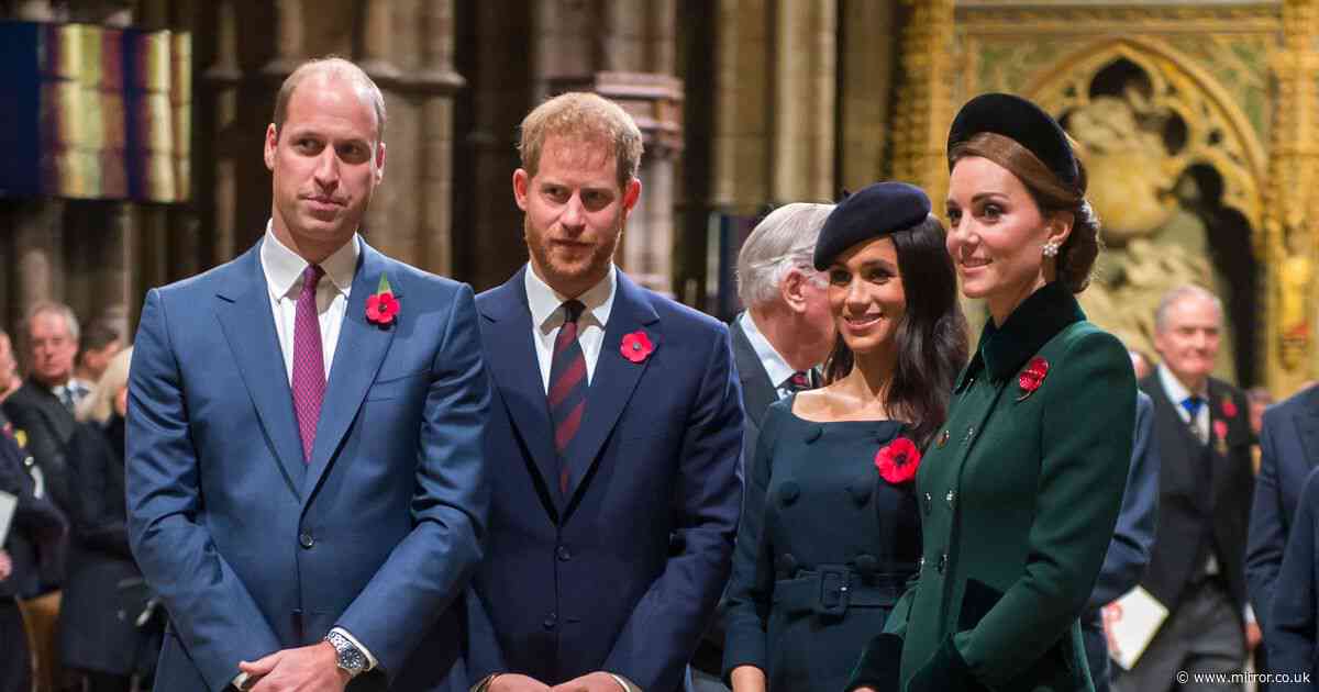 Prince Harry and Meghan Markle told two things they need to do as Royals 'very united without them'