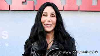 Cher, 78, flashes her midriff in cropped leather jacket and sparkling trousers at The Bikeriders premiere in LA with boytoy AE Edwards, 38