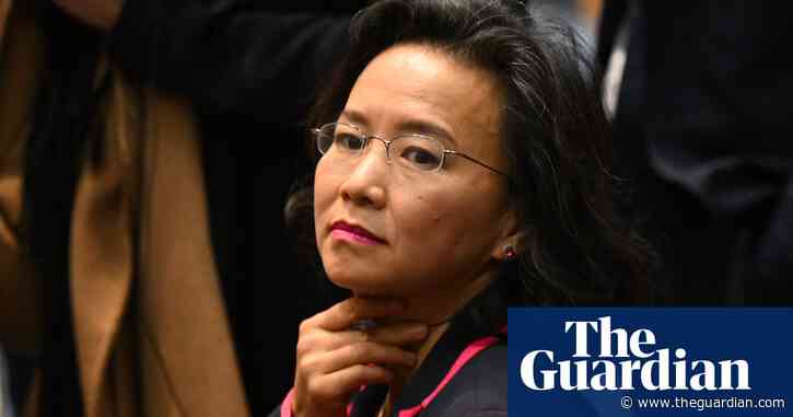 Australia complains to Chinese embassy over ‘ham-fisted’ attempt at blocking view of Cheng Lei at event