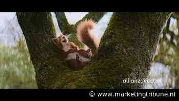 Meeuwen uitgelachen, nu een lachende eekhoorn bij Allianz