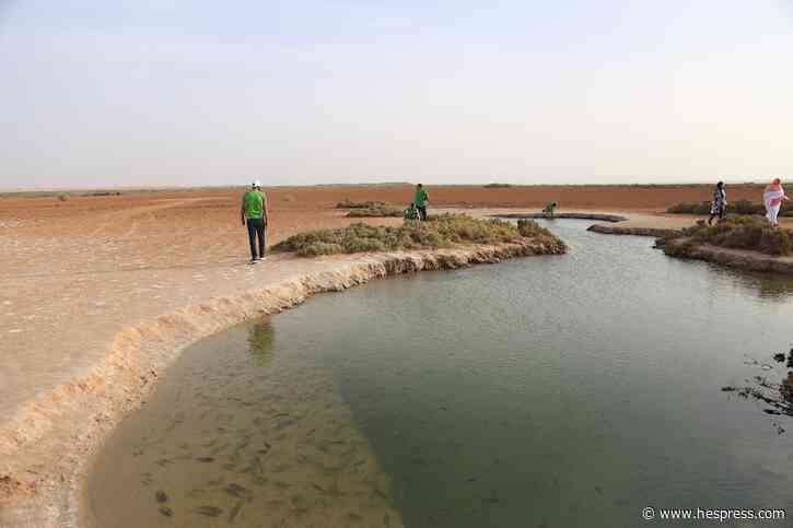 الزكزوتي يقيم وضع الجفاف بالمغرب