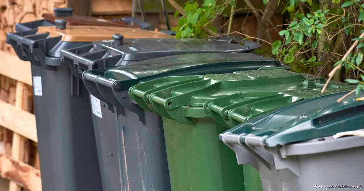 Paper recycling levels lead three councils to consider 'alternative' collection models