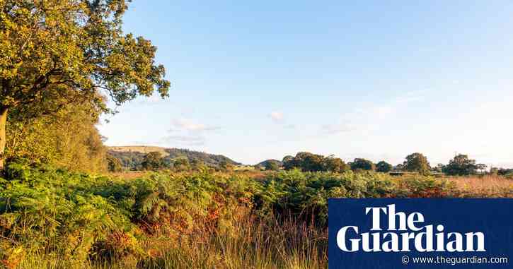 Country diary: A wild place that should be treasured, not bulldozed | Mark Cocker