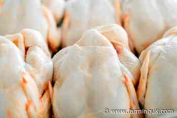 Tesco to reduce chicken stocking density by first half of 2025