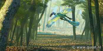 Stammen alle vogels af van de Archaeopteryx?