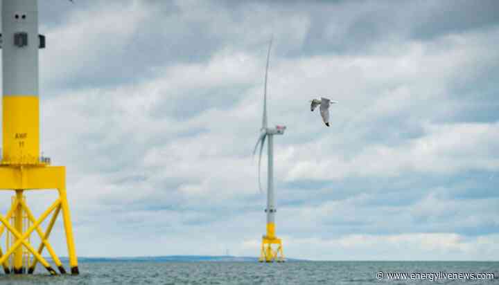 Global offshore wind capacity reaches 75GW