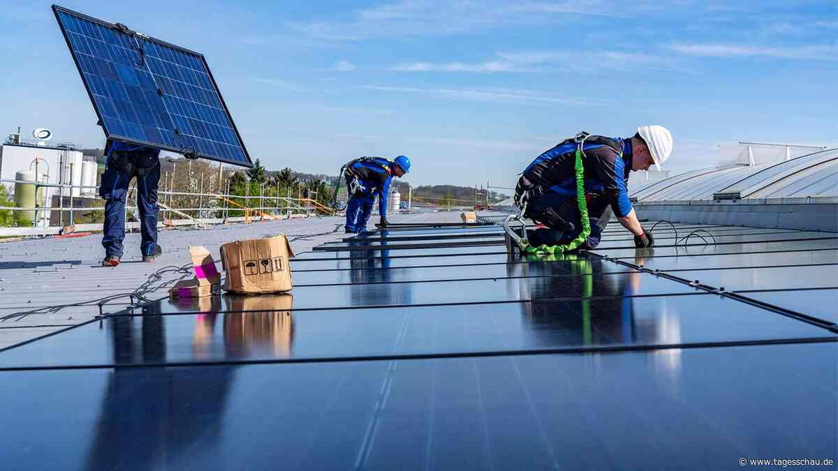 Preisverfall bei Solarmodulen: Ein Boom mit vielen Verlierern