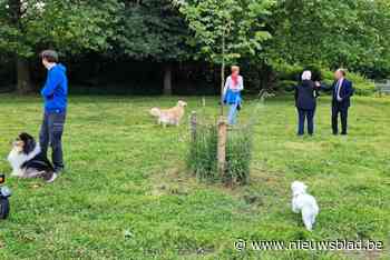 Romeinse Put verwelkomt honden op nieuwe natuurlijke hondenloopzone