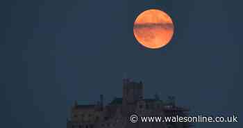 Rare Strawberry Moon set to be visible in the skies this week