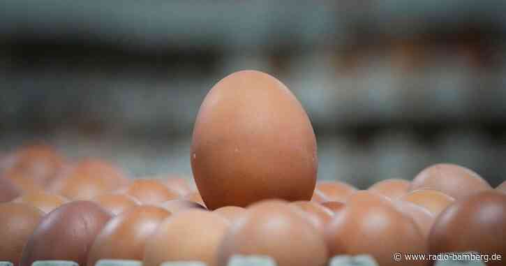 Laster mit 1,8 Tonnen Eiern zu viel auf der Autobahn