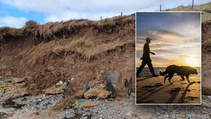 Man walking his dog stumbles across unusual pits on beach, leading to unexpected discovery