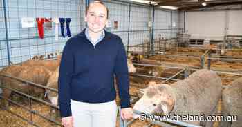 Australian success at World Young Shepherds competition in France