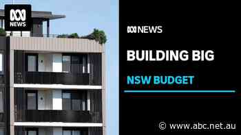 Advocates welcome NSW's big spend on social and affordable housing
