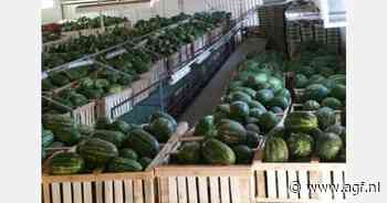 Op weg naar een vroeg einde van Marokkaanse watermeloenseizoen?