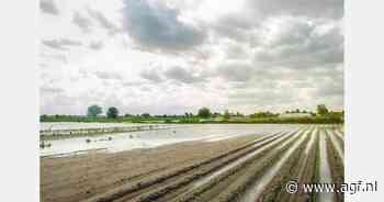 "Voor Nederlandse voedingsbedrijven komen risico’s klimaatverandering steeds dichterbij"