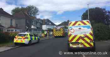 Emergency services battle Gower house fire