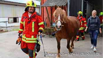 Feuerwehr Wildberg: Pferde vom Rauch eingeschlossen