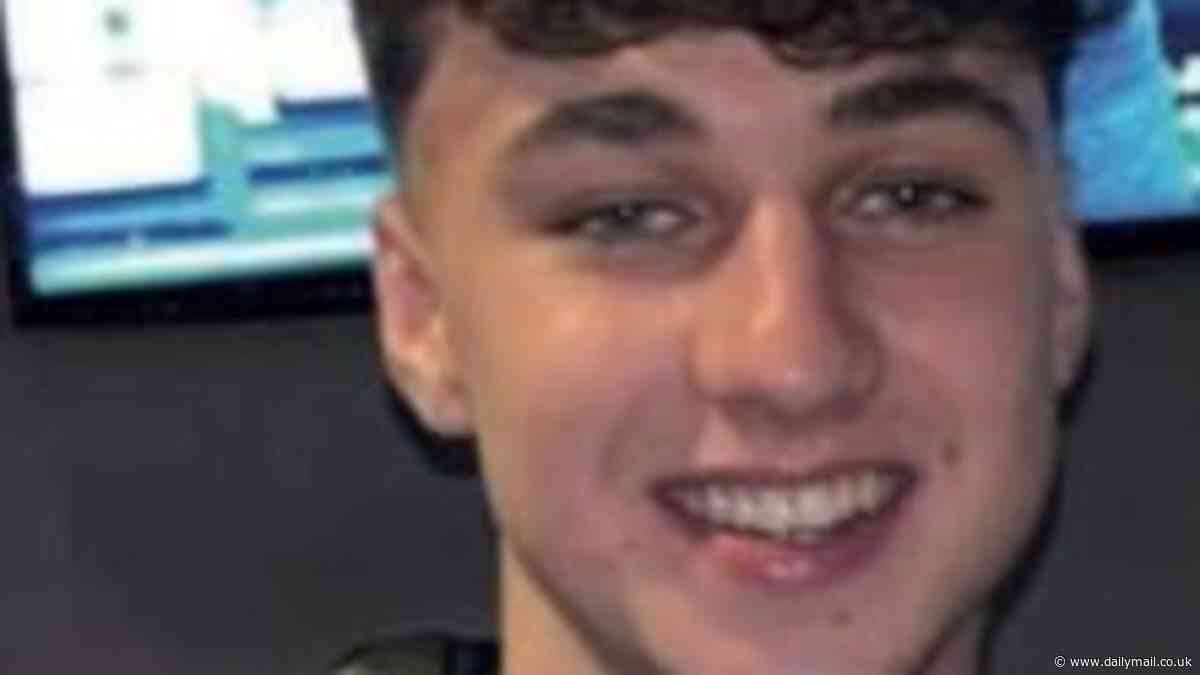 British teenager goes missing in Tenerife after making a desperate call to friends saying he was 'in the middle of nowhere' after night out