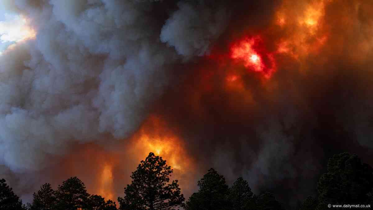 Ruidoso fire: Immediate evacuation ordered in New Mexico village as map shows areas affected with major highways closed