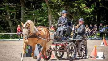 Rossererfest in Hundham: Faszination Pferd eindrucksvoll präsentiert