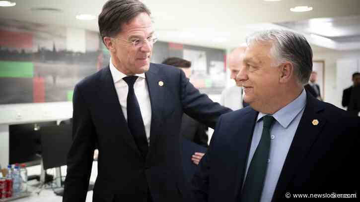 Handjeklap op topniveau: hoe Orbán toch besloot Rutte te steunen