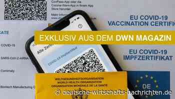 Globalisierung Gesundheitswesen: Das gelbe Impfbuch aus Papier wird digital