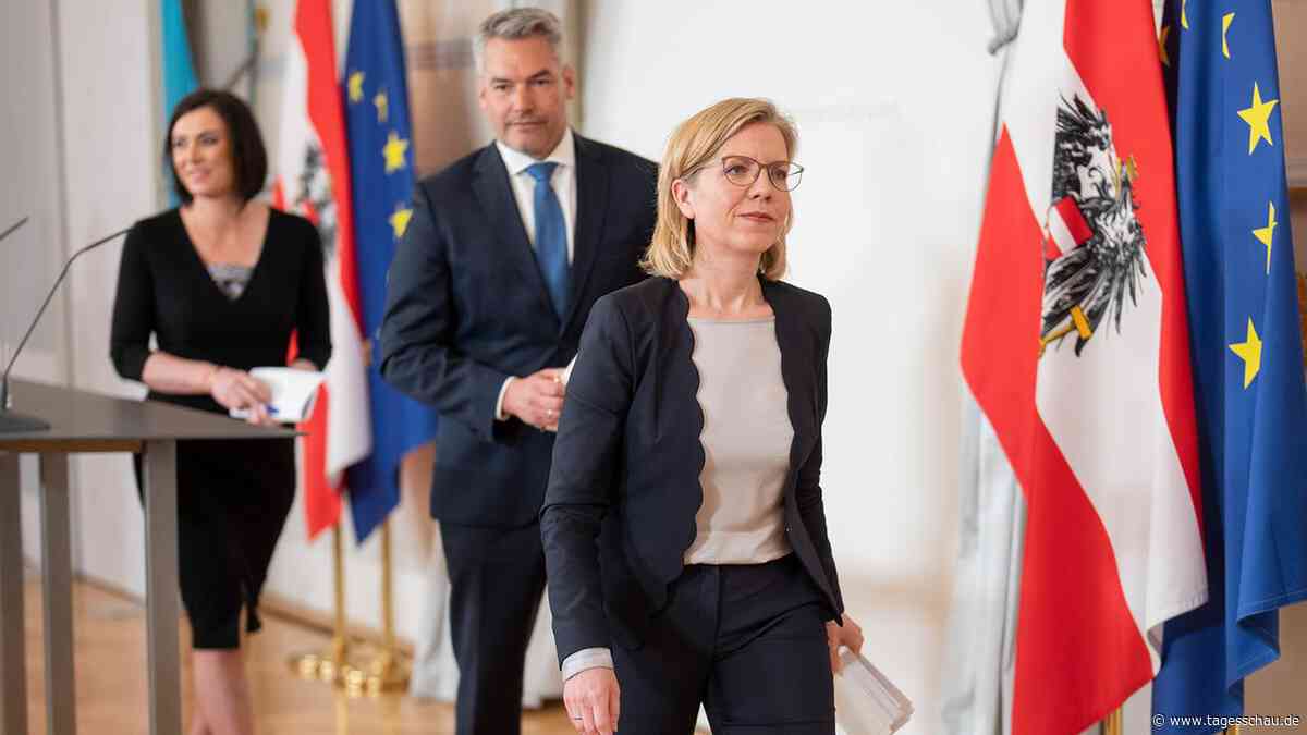 Regierungskrise in Österreich: Durchwurschteln bis zur Wahl