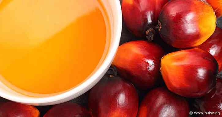 Nigeria spends ₦884 billion to import palm oil every year