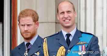 Prince Harry will be missing one aspect of royal life which William still gets to enjoy