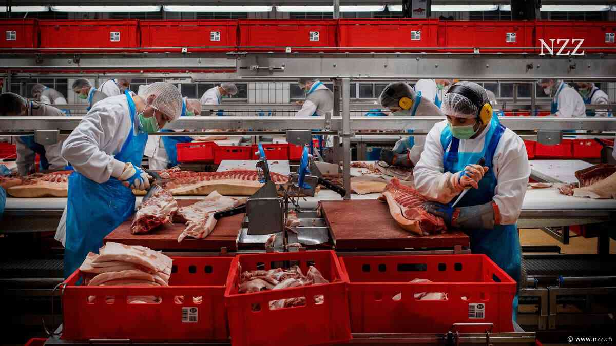 China schlägt zurück: Die Regierung prüft Strafzölle auf Schweinefleisch aus der EU