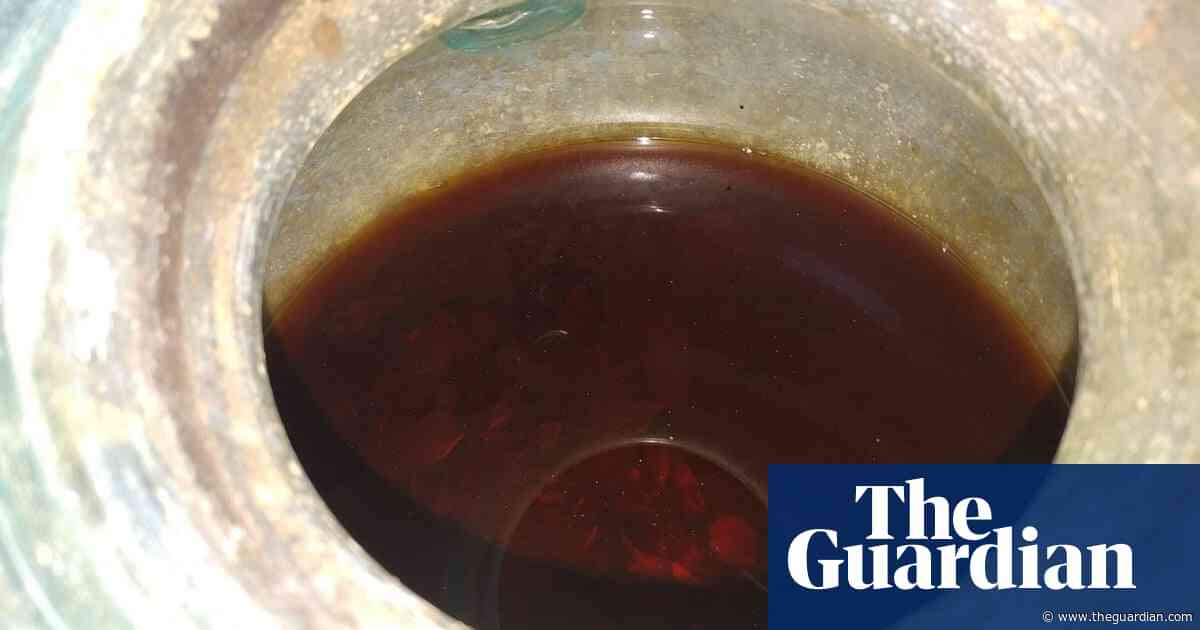 Oldest wine ever discovered in liquid form found in urn with Roman remains