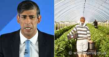 Rishi Sunak roasted for 'buy British' food blunder amid farming crisis
