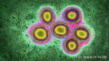 Nachweis in den USA und Europa: Neue Grippevirus-Mutation alarmiert Mediziner