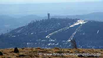 Wurmberg im Harz: Alle Infos zum höchsten Berg in Niedersachsen