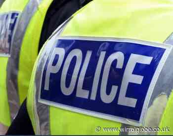 Laser pen reportedly shone at Wirral police officer's face