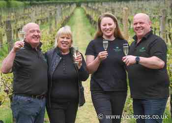 Yorkshire Heart Vineyard to stage Wine and Fizz Festival