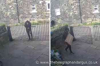 Video shows man brazenly stealing package in Wibsey